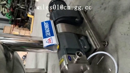 産業用可動ギア食品グレードのオリーブ オイル移送鋼鉄電気ロータリー ローブ ポンプ機